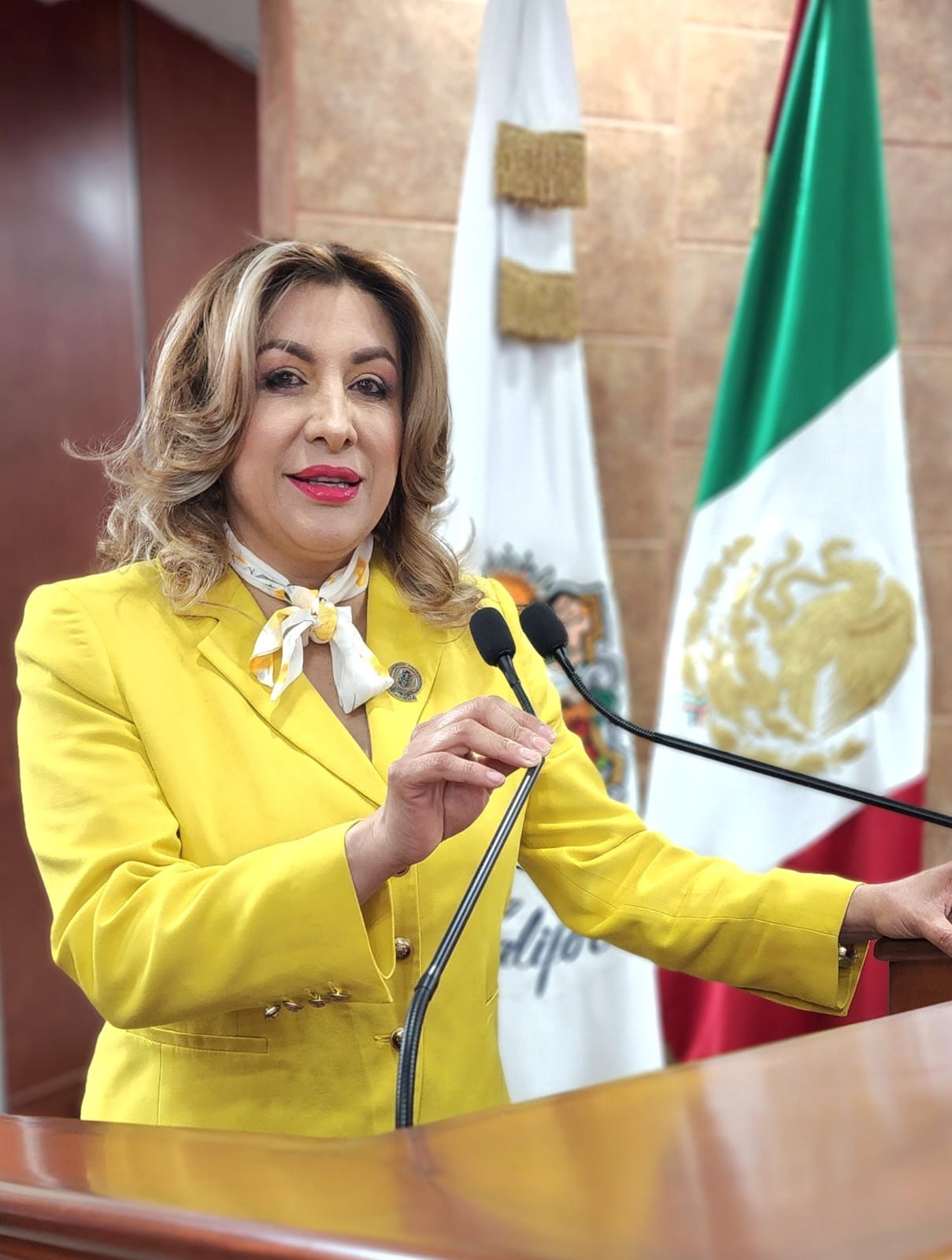CONGRESO EXHORTA A FORTALECER LA SEGURIDAD EN ESCUELAS PARA EVITAR ROBOS Y VANDALISMO EN VERANO