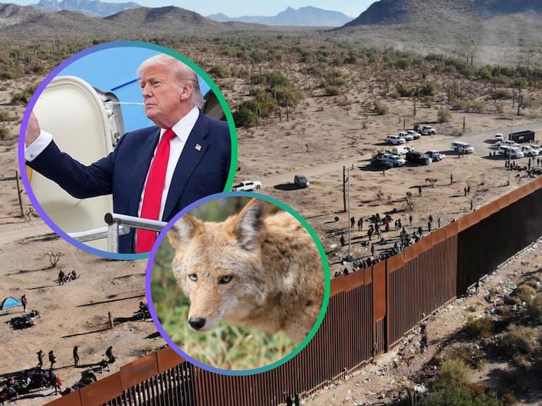 TRUMP INSISTE CON EL MURO, PERO EXPERTOS ALERTAN SOBRE DAÑO ECOLÓGICO EN ARIZONA