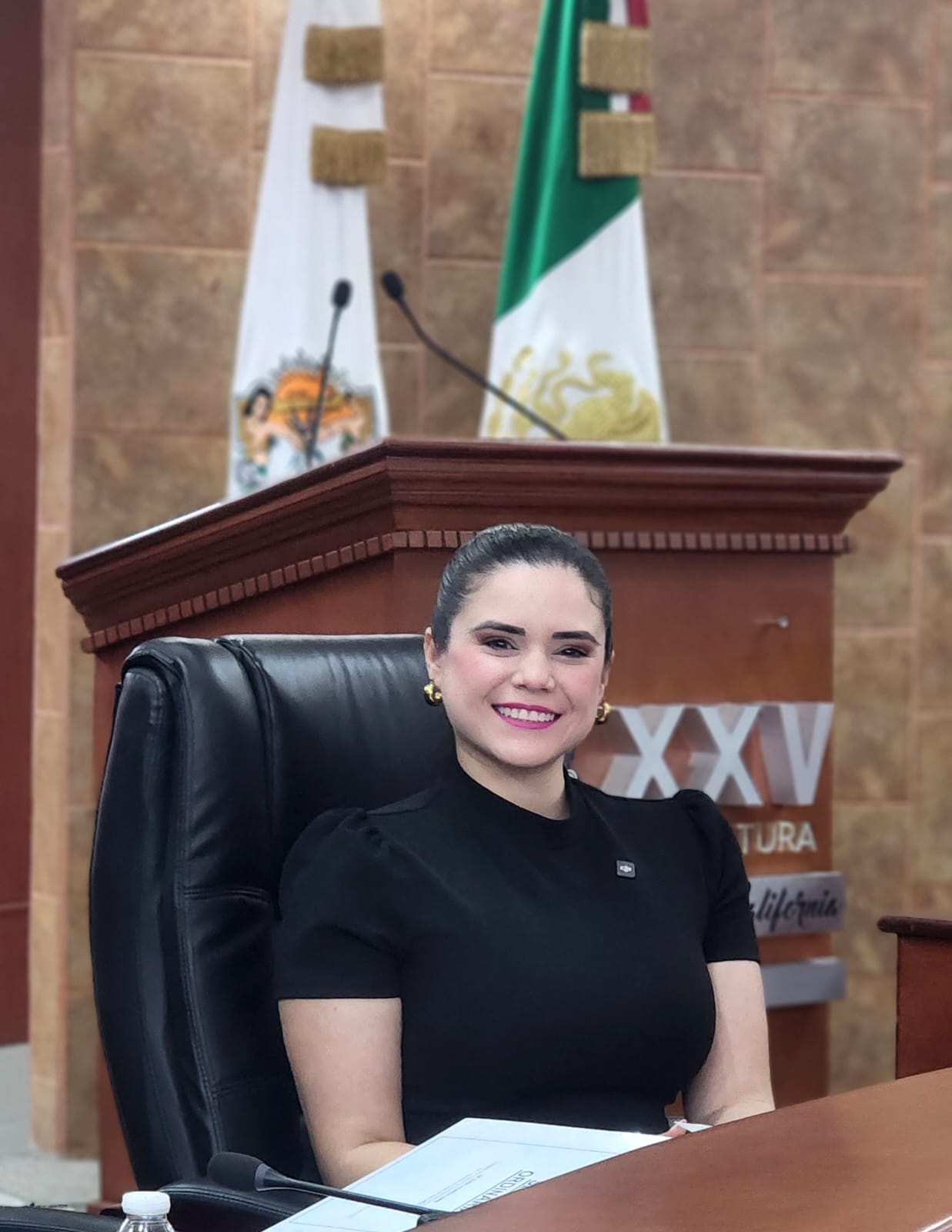 DIP. DAYLÍN GARCÍA PROPONE LEY DE VIDEOVIGILANCIA