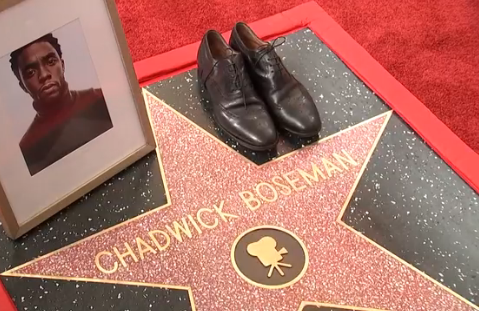 Develan estrella del actor Chadwick Boseman en el Paseo de la Fama de Hollywood