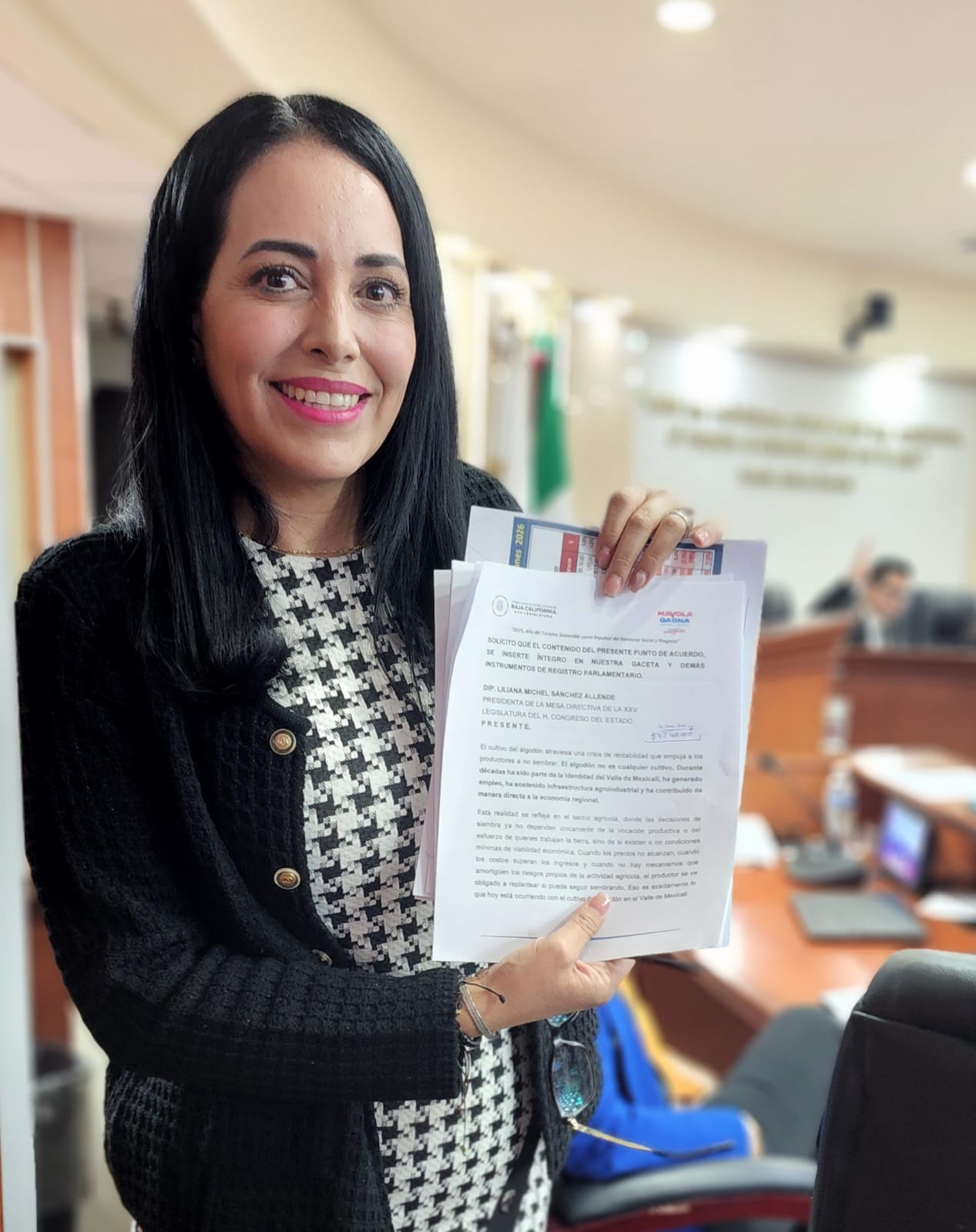 PIDE DIP. MICHELLE TEJEDA REHABILITACIÓN URGENTE DE LA CALZADA HEROICA PUEBLA EN EL ORIENTE DE MEXICALI