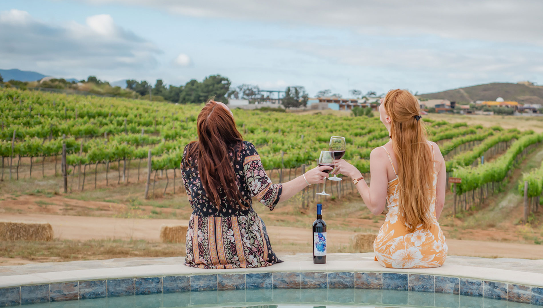 Buscan reposicionar el turismo del Valle de Guadalupe tras caída de visitantes en 2025