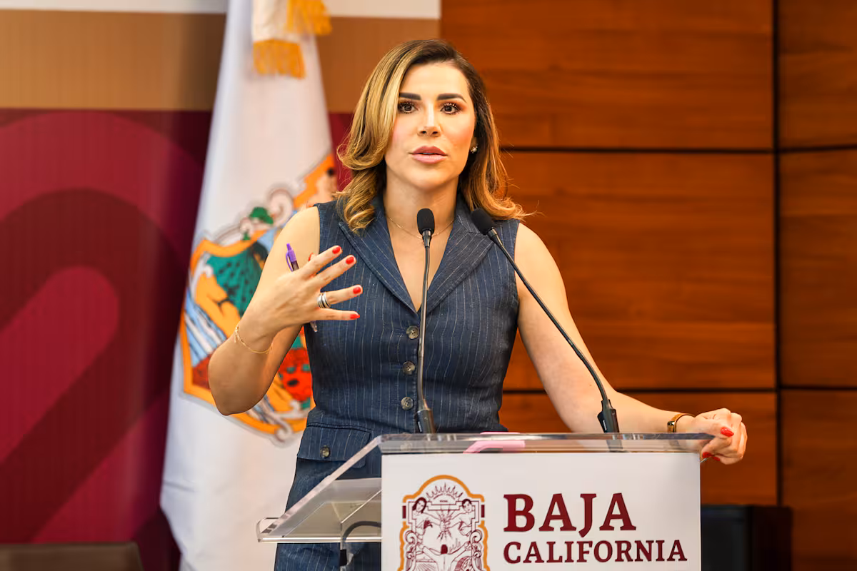 Reprograman visita de directora de CFE a Baja California