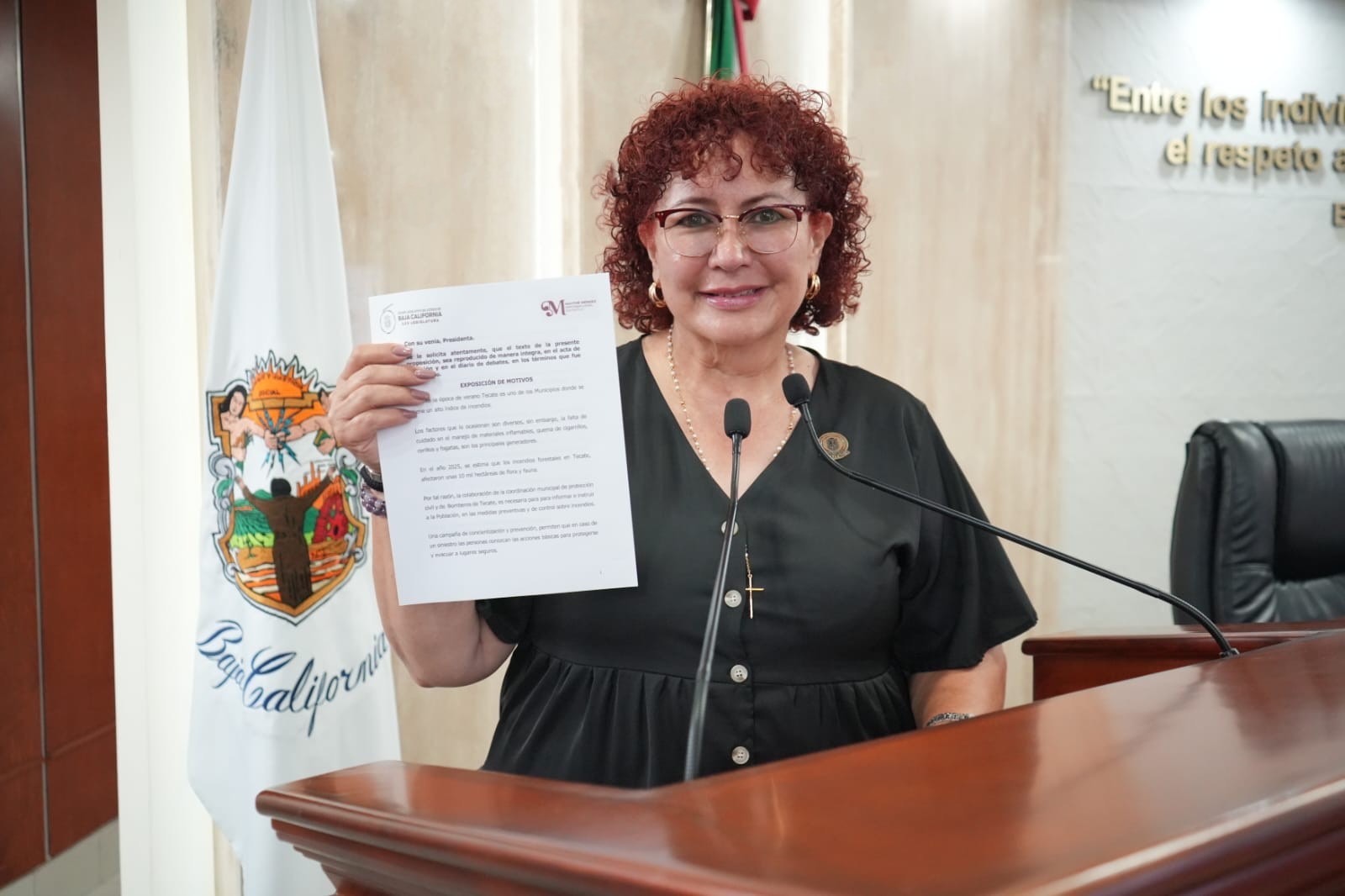 DIP. MAYTHE MÉNDEZ IMPULSA REFORMA PARA PROTEGER A COMPRADORES DE VEHÍCULOS DE BUENA FE